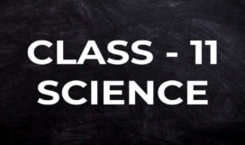 coursebundle_class11-sci stm_lms_assignment